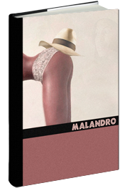 Malandro - Eine leichtfüßige Komödie von Ricardo Salva
